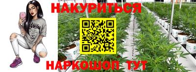 гашик Пугачёв