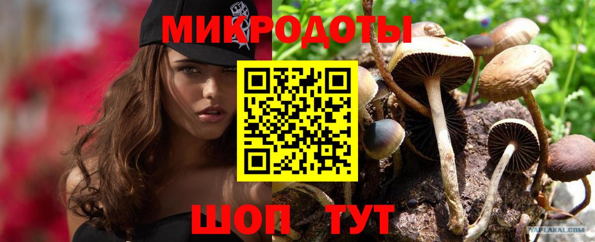 Галлюциногенные грибы Magic Shrooms Ртищево