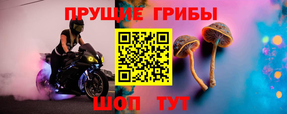 Ртищево  Галлюциногенные грибы Psilocybine cubensis  купить наркотики сайты  Вход с VPN 